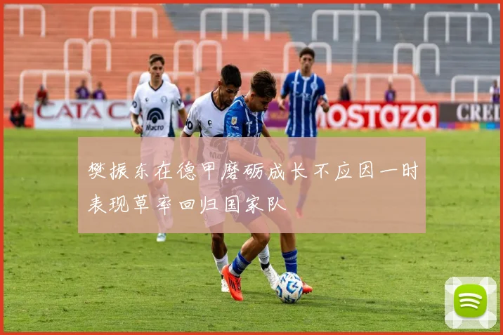 樊振东在德甲磨砺成长不应因一时表现草率回归国家队